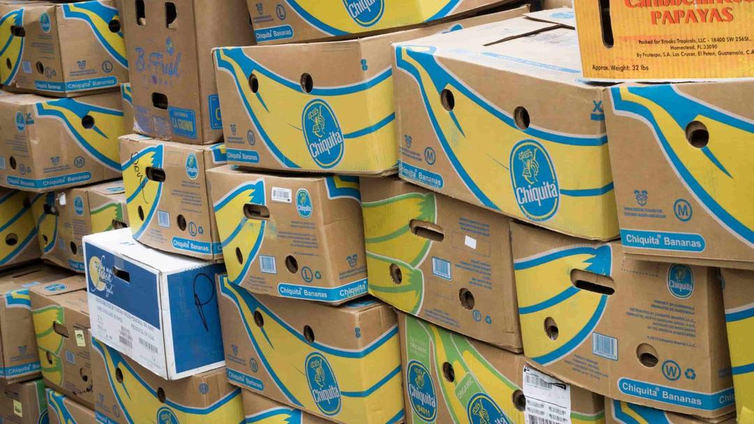 Chiquita Fruit Company Held Liable for Funding Colombian Paramilitary Group