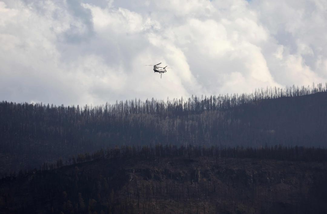 FBI Investigating New Mexico Wildfires, Offers Reward